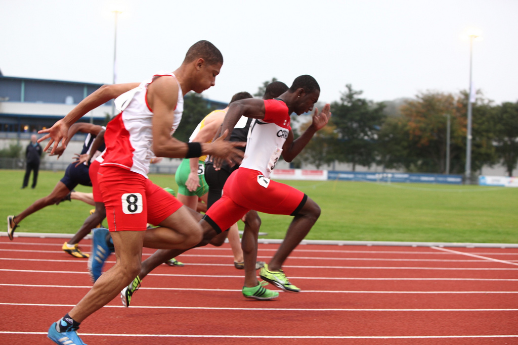 6133045450 D3fdd0a01f B