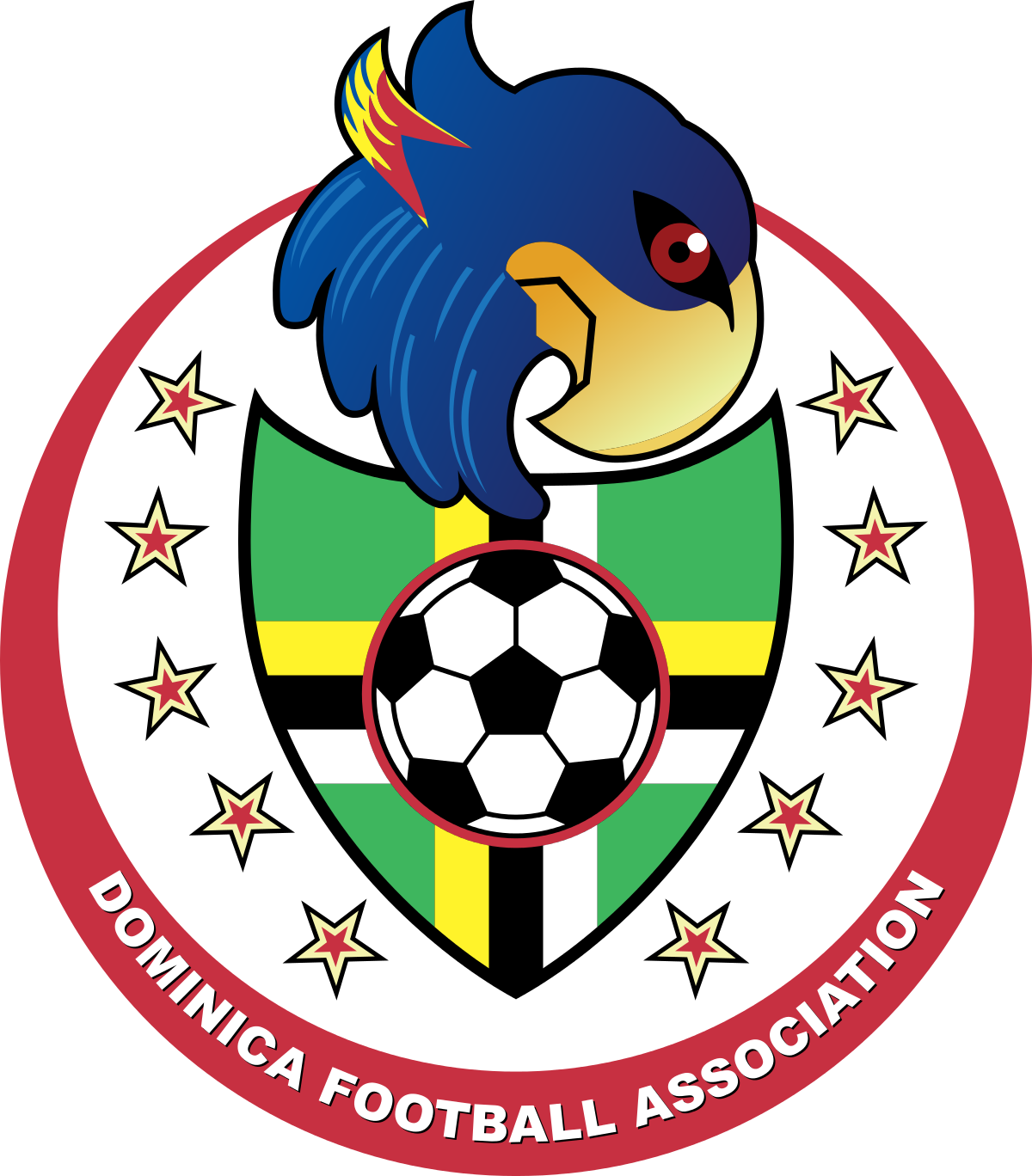Dominica Football Association (DFA)
