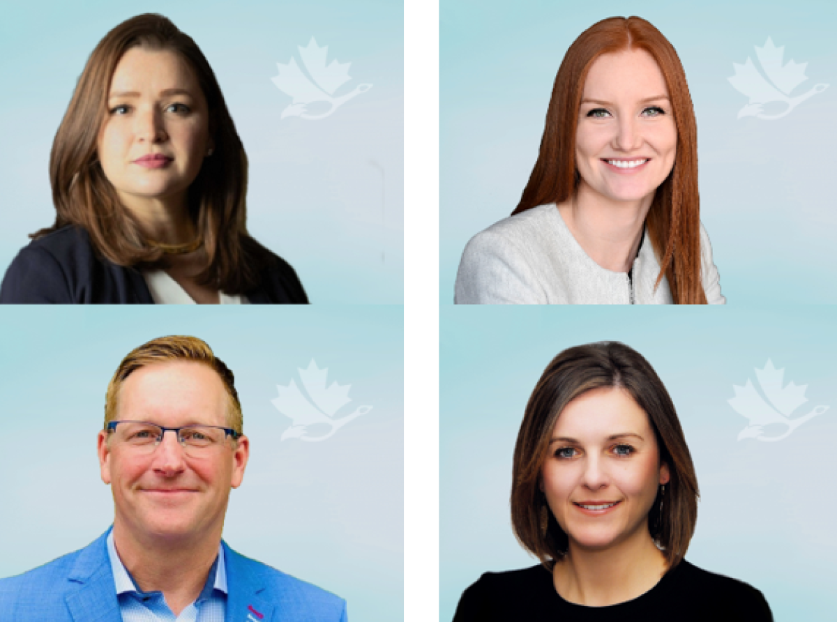 New Dir Photos