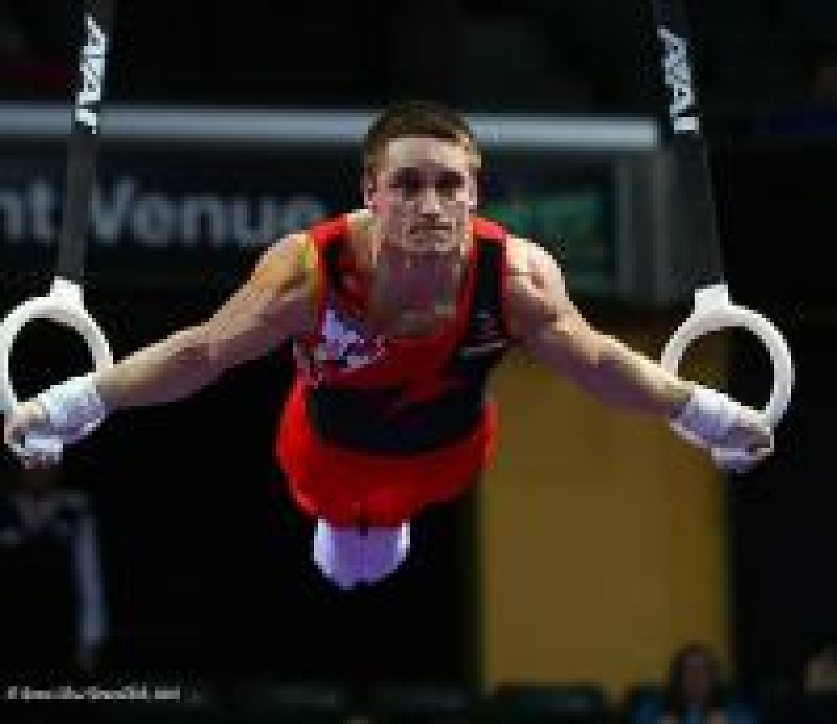 Scott Morgan Rings2