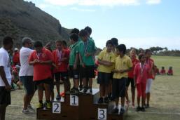 CGA Capacity Support - St. Helena