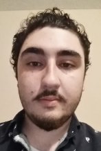 Dante Losardo